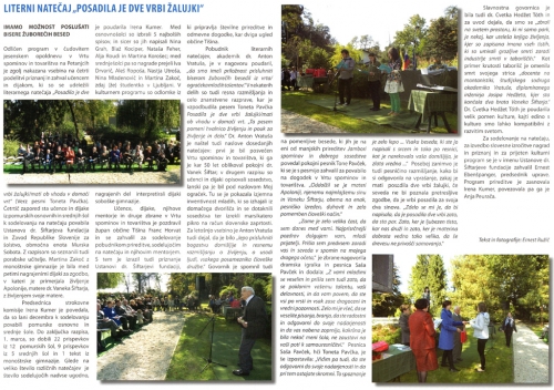 novine_2013_12