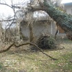 dscn2043