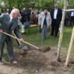 160422_sajenje drevesa ob svetovnem dnevu Zemlje_nrovan_018