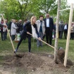 160422_sajenje drevesa ob svetovnem dnevu Zemlje_nrovan_019