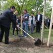 160422_sajenje drevesa ob svetovnem dnevu Zemlje_nrovan_020
