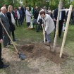 160422_sajenje drevesa ob svetovnem dnevu Zemlje_nrovan_022