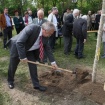 160422_sajenje drevesa ob svetovnem dnevu Zemlje_nrovan_024