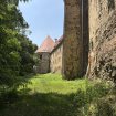 Dobimo-se-na-vrtovih_StankaDesnik-2