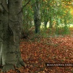 kartica_01
