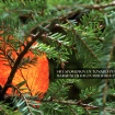 kartica_02