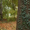 51909394_tom_0052