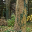 51909566_tom_0066