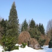 52658523_murvainiglavci2003_021